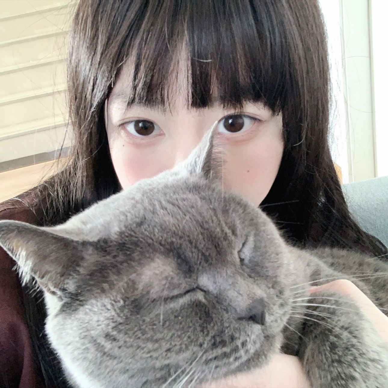 麻豆草草黄网校园99